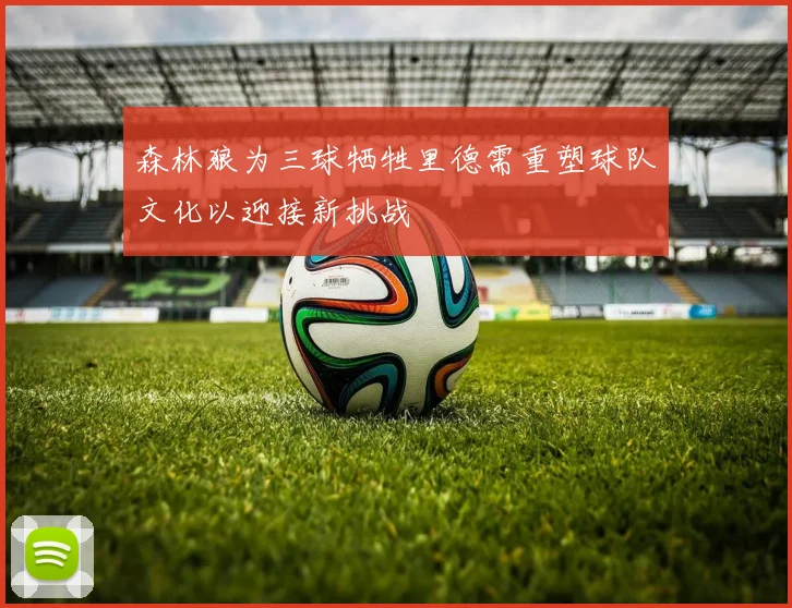 森林狼为三球牺牲里德需重塑球队文化以迎接新挑战